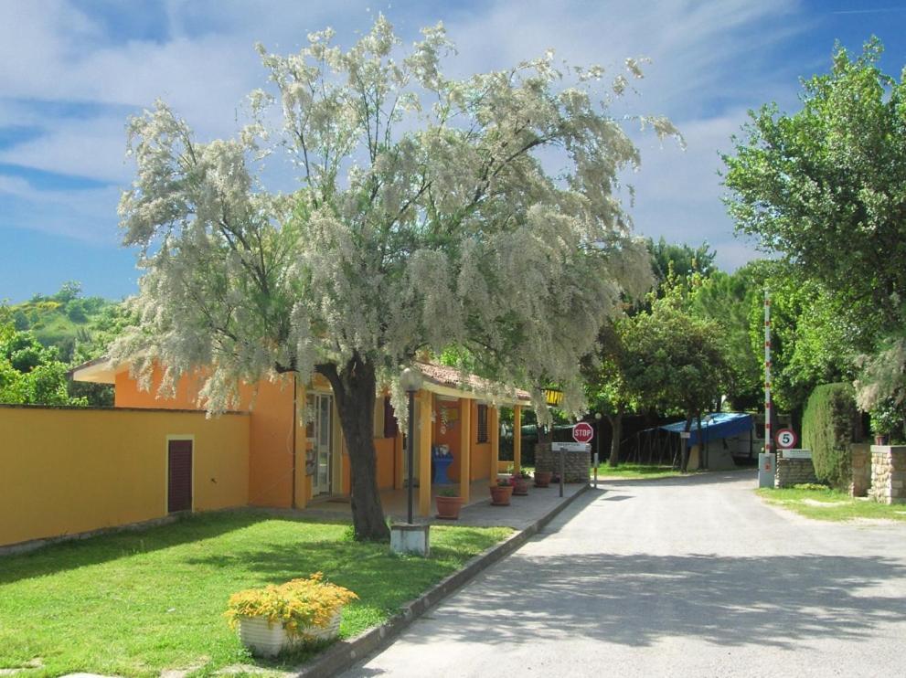 Paradiso 3*