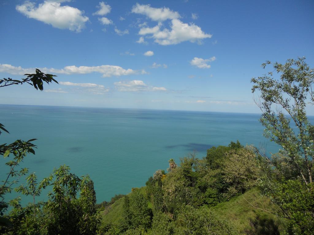 Paradiso 3* Pesaro